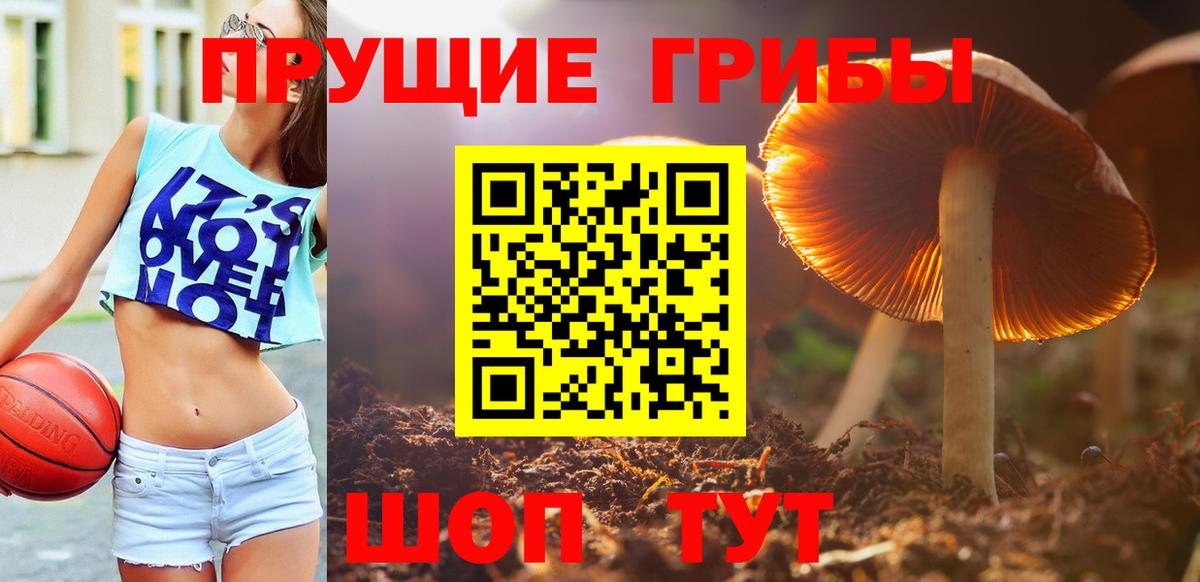 наркотики  Псилоцибиновые грибы Psilocybine cubensis  Киров  Вход с VPN  Псилоцибиновые грибы GOLDEN TEACHER 